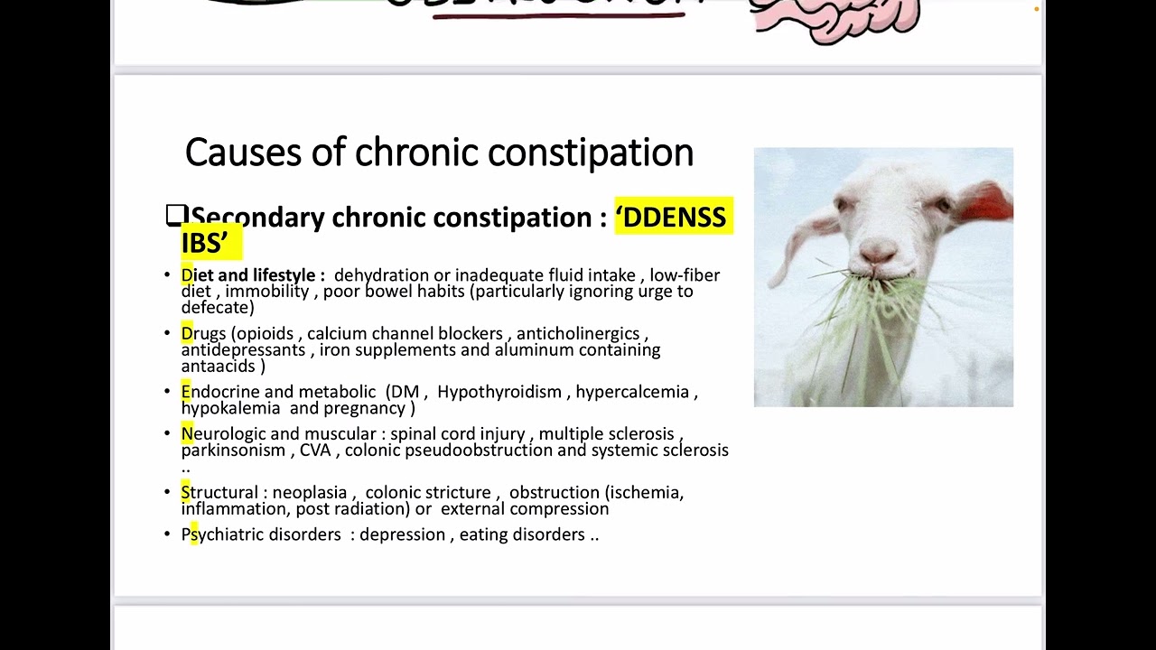 باطنية نظري د. احمد عبد السلام محاضرة 14