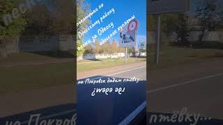 на Покровск дадим птёвку...Покатушки по Одесскому району Песни за Одессу Одесские куплеты #Одесса
