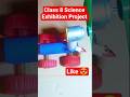Class 8 Science Exhibition Project — Easy DIY Working Model!” #science #class8 #shortvideo