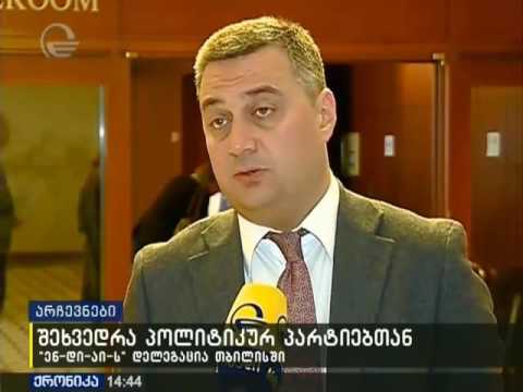 ვიქტორ დოლიძე - ენ-დი-აი-ს დელეგაციასთან შეხვედრისას ყველა თემას ვეხებით