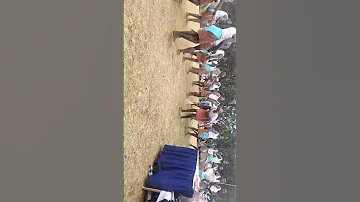Traditional Meru Christian Songs Dances Igembe Synod MMF Rally 2025 