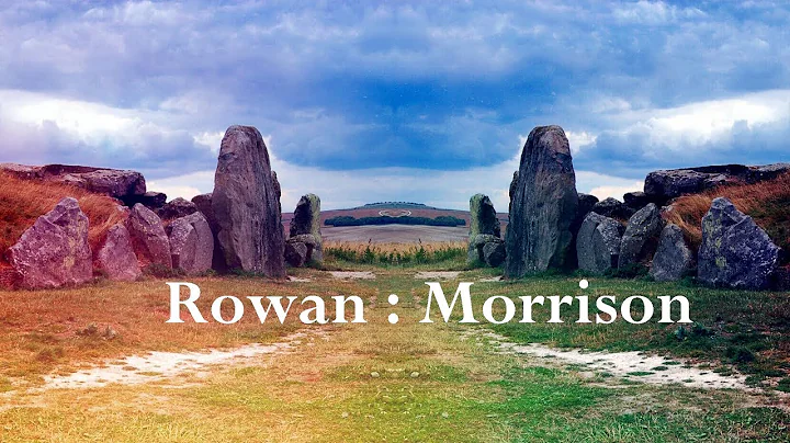 Fall to Sleep by Rowan : Morrison