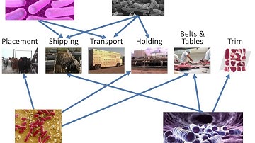 Succinct Colored de Bruijn Graphs