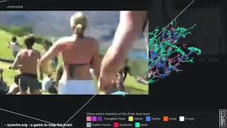 Derek Sivers - First Follower: Leadership Lessons from Dancing Guy 2010
