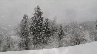 Heavy snow in the high mountains ❄ Blizzard &amp; Wind howl ❄ Winter ambience