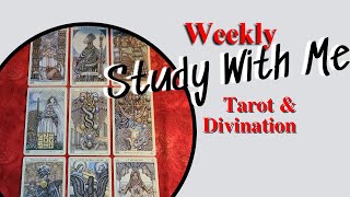 Study With Me LIVE - Tarot Reading & Productivity sprints