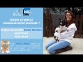 Interviews france bleu azur  quest ce que la communication animale  avec shaina lebeau