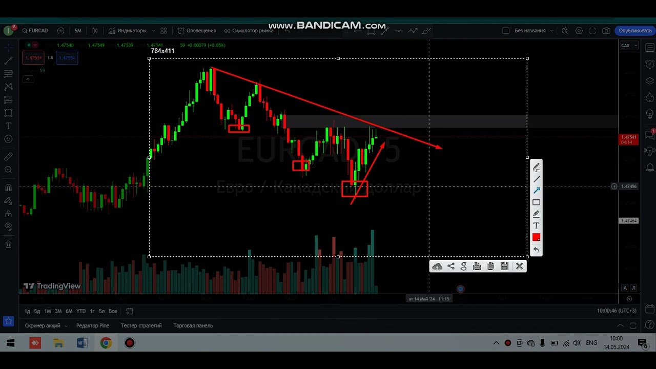 Optiuni binare pocket option