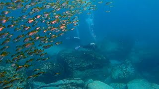 Diving Sydney South Head Dunbar wreck dive site