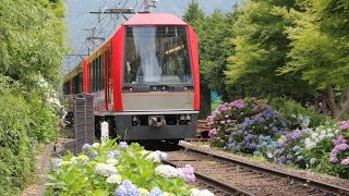 20150628箱根登山鉄道とあじさい2015（強羅駅～彫刻の森駅周辺）