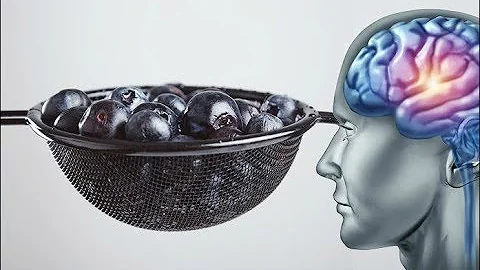 You Can Grow New Brain Cells, Regardless of Age, Here’s How