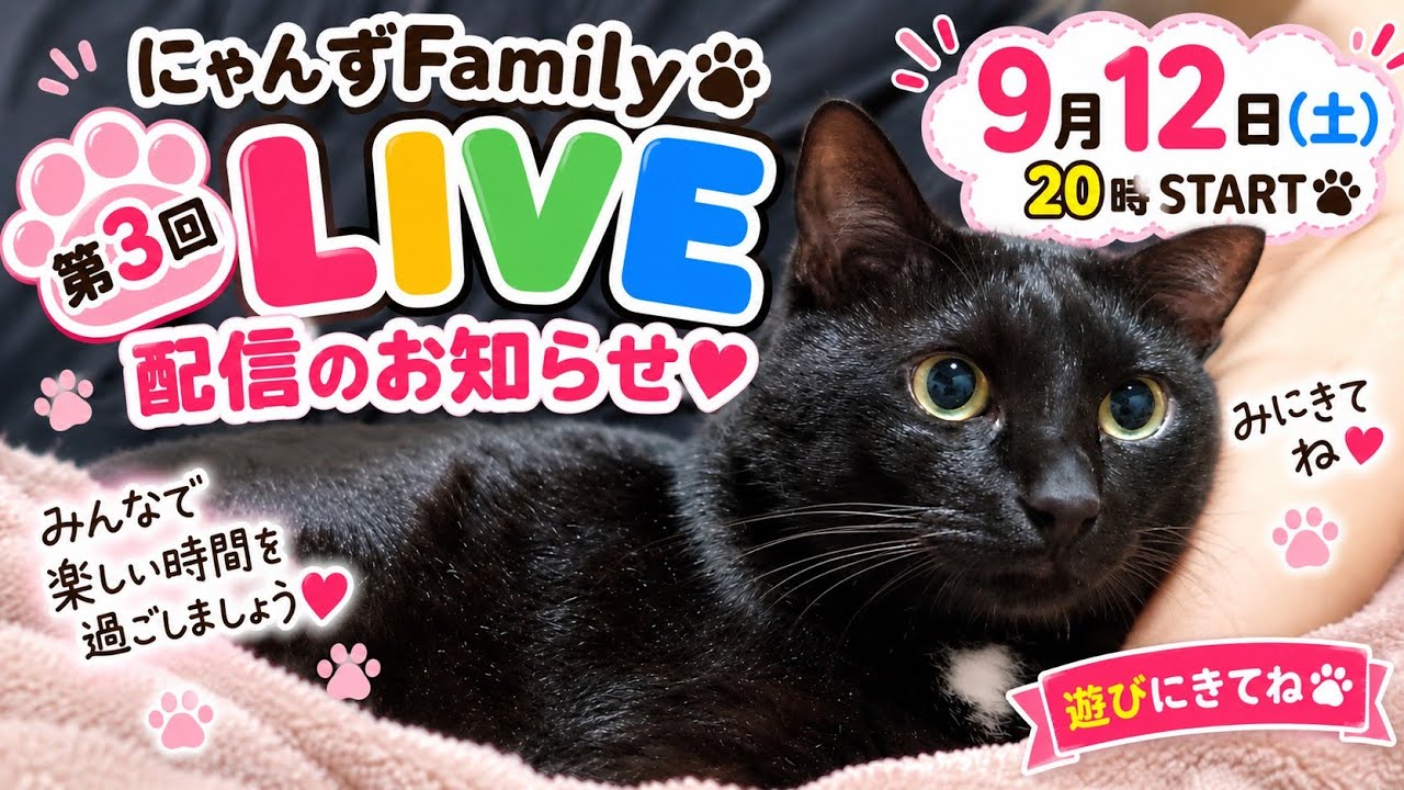 にゃんずFamilyからのお知らせ - YouTube