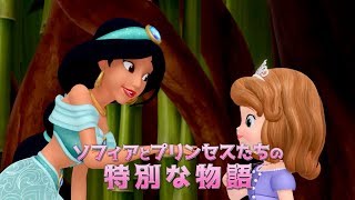 プリンセスになるために一緒にがんばろう！／『ちいさなプリンセス ソフィア　プリンセス・ボックス』予告編