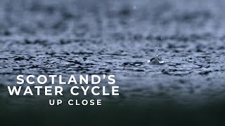 Observing Nature And Its Cycles