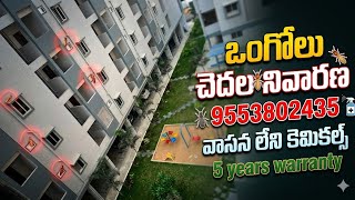 termite control Cockroach RR pest control  చెదలు నివారణ  వాసన లేని కెమికల్స్  9553802435 #hyderabad