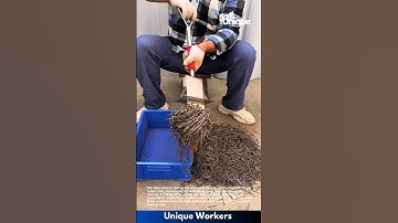 Magnetic nail collector: people collecting nails with magnets
