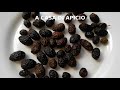 Olive nere sotto sale : metodo antico di nonna