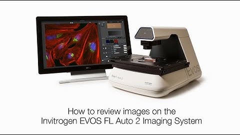 Reviewing Cell Images on the EVOS FL Auto 2 Microscope