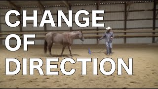 Change of Direction with Your Horse screenshot 1