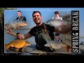 Spring Break - Carpfishing In Fiume Po
