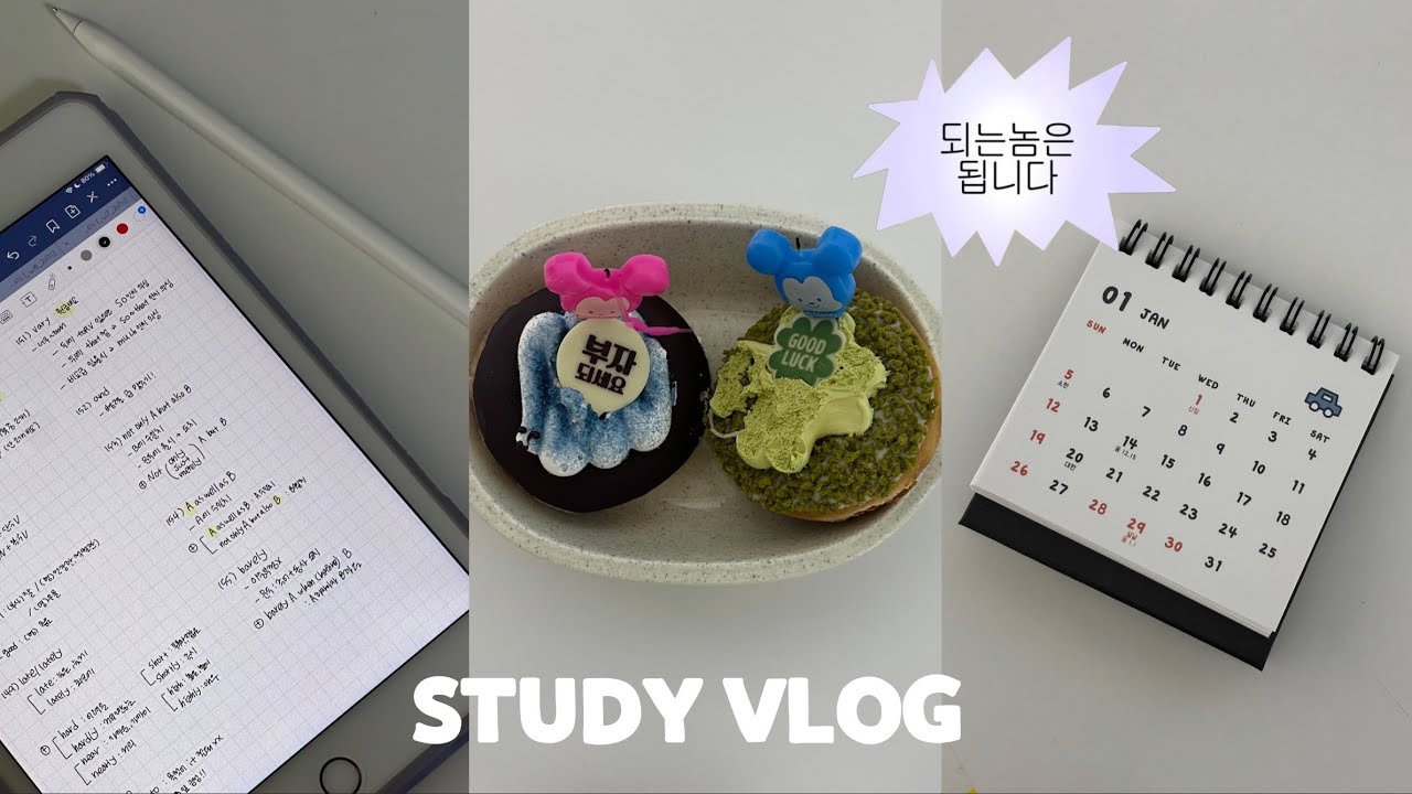 공시생 브이로그 | 연말에도 공부하는 수험생 📝☃️ | 되는 놈은 됩니다 🔥 |  2025 해돋이 | 공부 브이로그 | ep.16