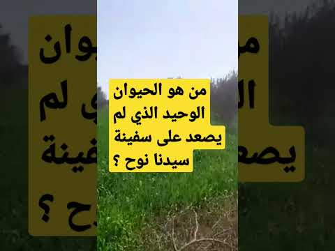 من هو الحيوان الوحيد الذي لم يصعد سفينة سيدنا نوح يوم الطوفان