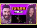  cucaracha qla  quick lagii  somos curiosos