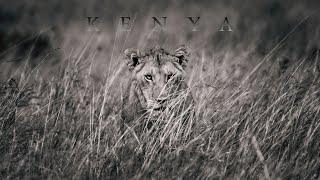 The Connections | Africa | Kenya | Maasai Mara  w/ @celineandcynthia