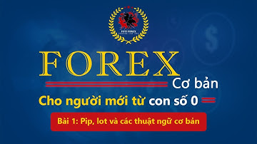 Bài 1: Pip, Lot Và Các Thuật Ngữ Cơ Bản