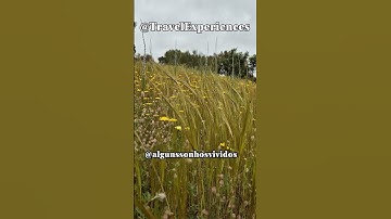Évora - Herdade do Perdiganito - Octant Hotels Évora @TravelExperiences