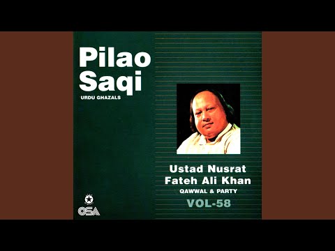 Pilao Saqi