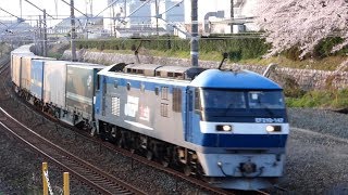 2019/04/06 JR貨物 桜咲く横を力走する貨物列車3本 1055レの助手席の人お手振り