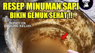 🔵 Resep air minum sapi bikin gemuk dan sehat !!