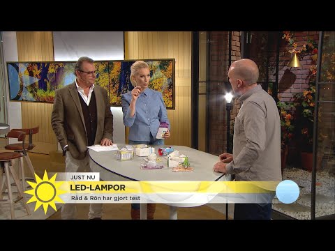 Stort test av LED-lampor – "Den lampan är ett riktigt bra köp" - Nyhetsmorgon (TV4)