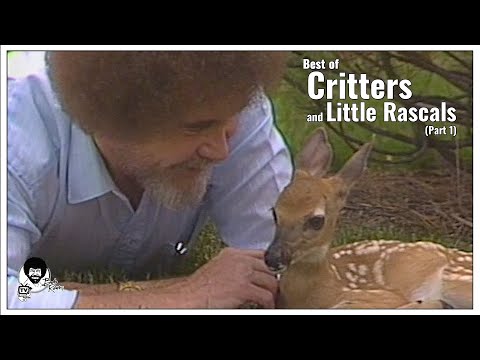Critters and Little
