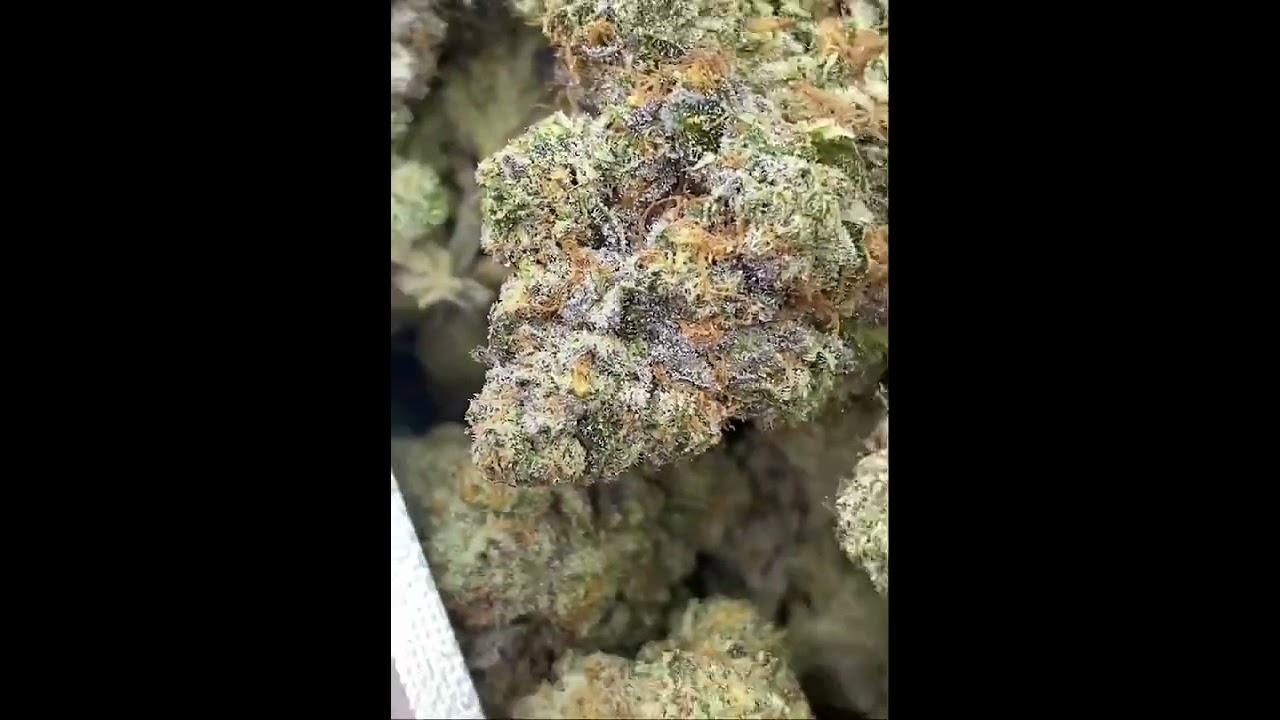 YADADA CANNABIS STRAIN BY PAPER BOY 510 