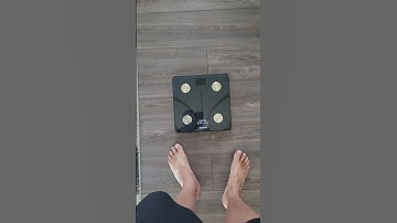 renpho scale not working