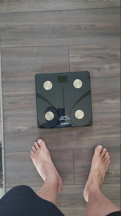 How Does the RENPHO Smart Scale Measure Body Fat – RENPHO US