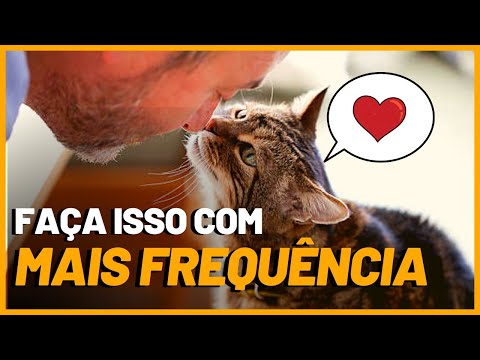 Vídeo: 10 coisas que você está (provavelmente) fazendo que chatear o seu gato