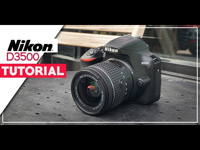Nikon D3500: Pocket Guide: Buttons, Dials, Settings, Modes, and Shooting  Tips (The Pocket Guide Series for Photographers, 17)