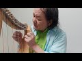 아름다운 사람(Beautiful Person) Tener C-major Esteban Jeon (With Celtic Harp)