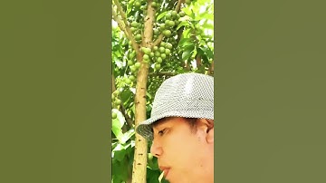 1 Héc 3 Có 150m Thổ Cư và 100m Mặt Hồ Trị An Siêu Đẹp #0817187979