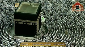 تلاوة رائعة تفوق الوصف من سورة القلم للشيخ بندر بليلة عشاء 29 جمادى الاخرة 1440هـ
