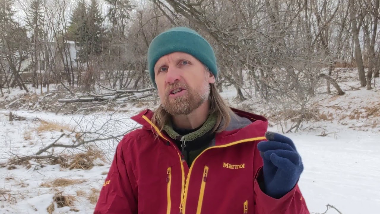 4 Things all parks and protected areas in Manitoba need!