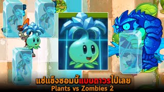 แช่แข็งซอมบี้แบบถาวรไปเลย Plants vs Zombies 2