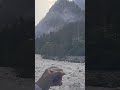 Chai achi hai manali kasol chai chailover love travel