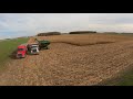 CASE IH Farmer Showing Some Green - 8230 Axial-Flow - Magnum 370 - 1151 Grain Storm - Harvest 2020