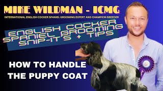 How To Handle The Puppy Coat