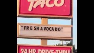 Free Shavocado Original