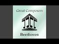Miniature de la vidéo de la chanson 12 Variations On 'Ein Mädchen Oder Weibchen' Op. 66: Variation Ix
